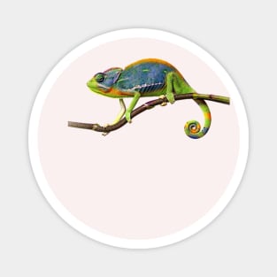 Funny Chameleon Magnet